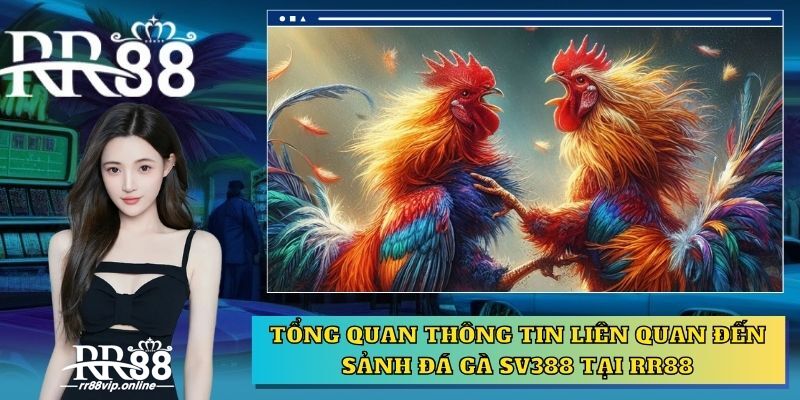 Khám Phá Sv388 - Một Thế Giới Đầy Cuốn Hút Trong Cá Cược Trực Tuyến